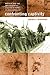 Confronting Captivity: Britain and the United States and Their POWs in Nazi Germany