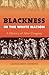 Blackness in the White Nation by George Reid Andrews