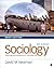 Sociology: Exploring the Architecture of Everyday Life, Brief Edition