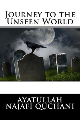 Journey to the Unseen World (Paperback)