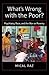 What's Wrong with the Poor?...