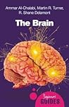 The Brain: A Begi...