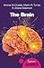 The Brain: A Beginner's Guide (Beginner's Guides)