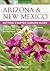 Arizona & New Mexico