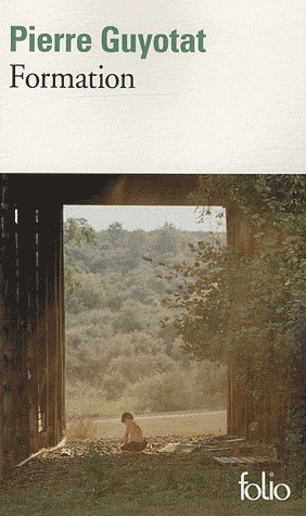 Formation (Paperback)