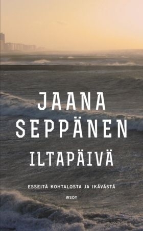 Iltapäivä: esseitä kohtalosta ja ikävän hetkistä