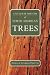 A Natural History of North American Trees (Donald Culross Peattie Library)