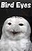 Bird eyes