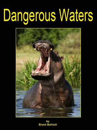 Dangerous Waters (Kindle Edition)