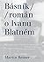 Básník: román o Ivanu Blatném