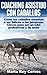 Coaching asistido con caballos (Spanish Edition)
