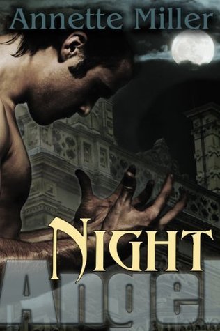 Night Angel  (Angel Haven, #1)