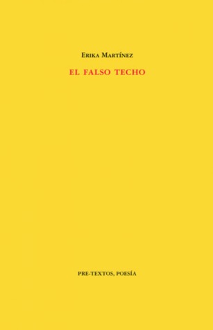 El falso techo