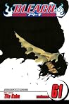 Bleach, Volume 61