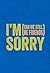 I'm Sorry: (Can We Still Be Friends)