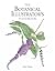 The Botanical Illustrator's Handbook by Sally Pinhey