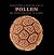 Pollen: The Hidden Sexuality of Flowers