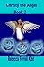 Christy the Angel Book 2
