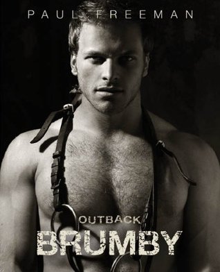 Outback Brumby By Paul Freeman