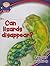 Can Lizards Disappear?: Reptiles and Birds (Ask Me)