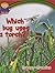 Which Bug Uses a Torch?: Creepy-Crawlies (Ask Me)