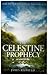 The Celestine Prophecy: An Adventure (Celestine Prophecy, #1)