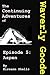 The Continuing Adventures o...