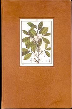 Shamanic Snuffs Or Entheogenic Errhines (Hardcover)