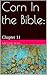 Corn In The Bible: Chapter 11