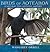 Birds of Aotearoa