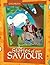 The Stories of Our Saviour by Terrie Chappell