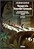 Voyage à la Nouvelle-Grenade : Un voyageur français découvre le monde indien, 1869-1870
