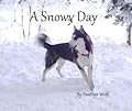 A Snowy Day