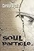 Soul Particle