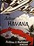 Adios, Havana by Andrew J. Rodriguez