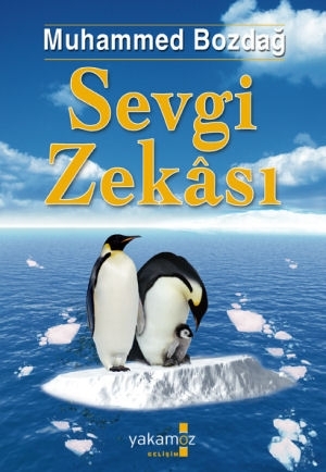 Sevgi Zekası