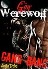 Gay Werewolf Gang...
