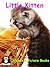Children's Picture Books : Little Kitten