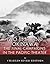 Iwo Jima and Okinawa: The Final Campaigns in the Pacific Theater