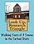 Look Up, Research Triangle! Walking Tours of 3 Towns In The Tarheel State (Look Up, America! Series)