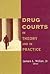 Drug Courts by James L. Nolan Jr.