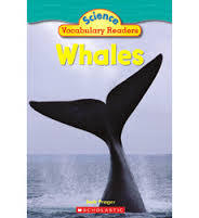 Whales (Unknown Binding)