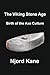 The Viking Stone Age: Birth...