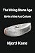 The Viking Stone Age: Birth of the Axe Culture