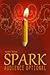 Spark: Audience Optional