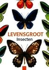 Levensgroot insecten Levensgroot insecten