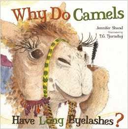 Why Do Camels Have Long Eyelashes?