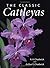 The Classic Cattleyas