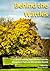 Behind the Wattles