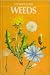 Weeds by Alexander Campbell Martin